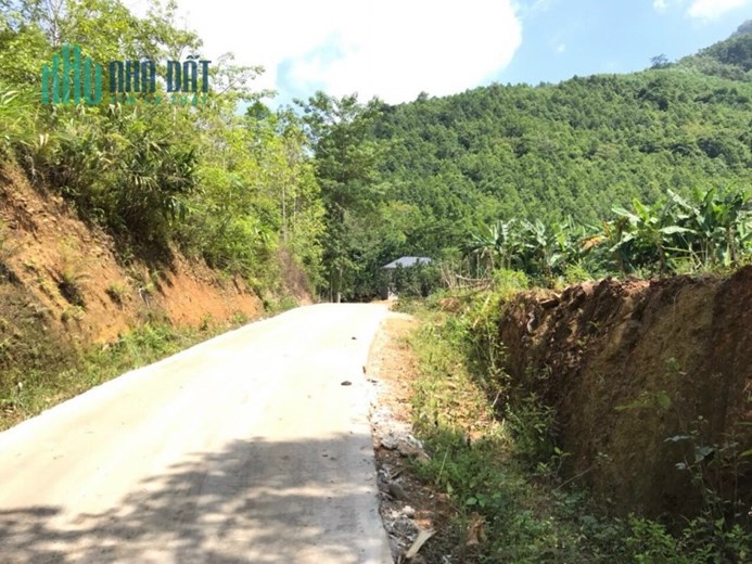 Bán gấp lô đất có diện tích 4,4ha ( thực tế sử dụng 5ha) trong đó có 400m2 thổ cư tại Toàn Sơn - Đà