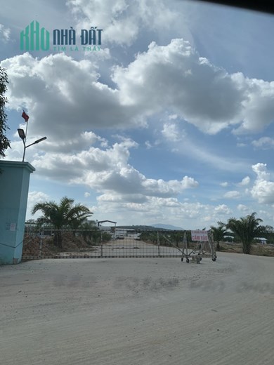 Đất sào sổ hồng riêng Đồng Nai - giá chỉ 233 triệu / Sào - Đầu tư an toàn và bảo đảm cho tương lai
