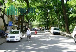 Bán gấp nhà đẹp phố Cầu Giấy, ngõ kinh doanh, ô tô tránh,58m2x5t, MT 4m5,  hơn 10tỷ