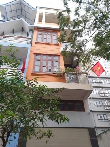Bán gấp nhà đẹp phố Cầu Giấy, ngõ kinh doanh, ô tô tránh,58m2x5t, MT 4m5,  hơn 10tỷ