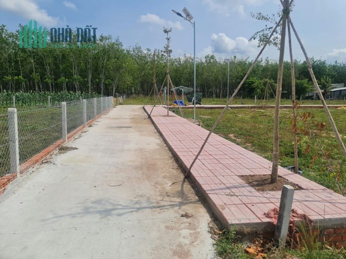 Đất nền Gò Dầu giá đầu tư siêu lợi nhuận