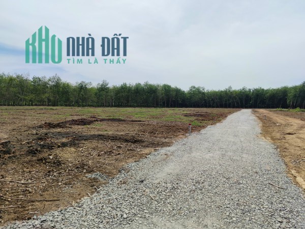 Một lô đất vườn đầy tiềm năng tại Tây Ninh mà bạn không thể bỏ qua
