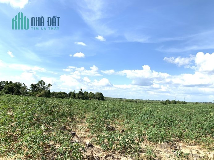 Đất sào Xuân Lộc-Giá sốc bất ngờ, đảm bảo không làm bạn thất vọng.