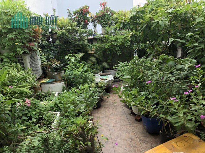 Bán nhà Hẻm xe hơi Năm Châu P11 Tân Bình, 99m2, nở hậu, Chỉ 8.7 Tỷ, Giá rẻ.