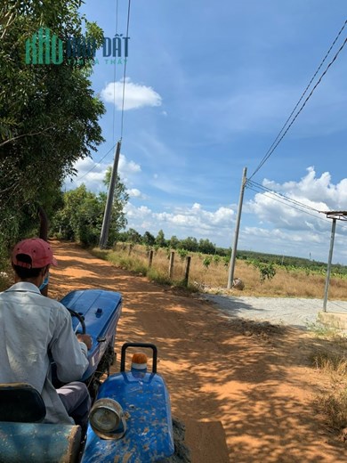 Đất Sào Đồng Nai Siêu Rẻ 234 triệu/sào, Sổ Hồng Riêng, Đường Ô Tô Tận đất