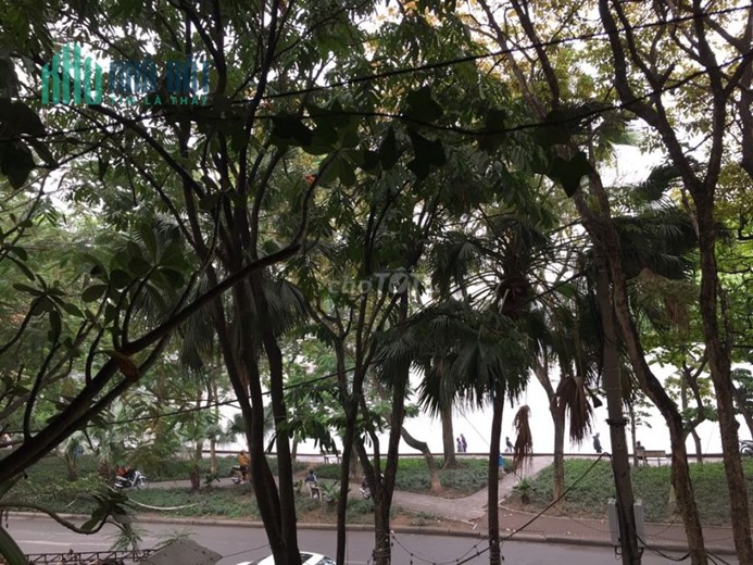 Chính chủ cho thuê Căn hộ ven hồ Giảng võ, Ba Đình, Hà Nội.