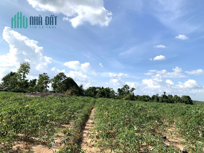 NGỘP- Bán gấp 4,5 sào SHR tại Xuân Lộc chỉ 1.05 tỷ trọn sổ
