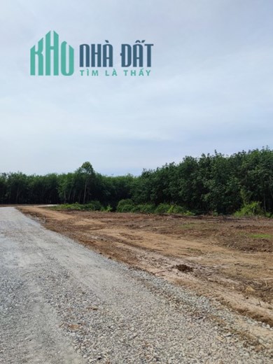 Kẹt tiền cần bán mảnh vườn siêu đẹp tại Châu Thành – Tây Ninh