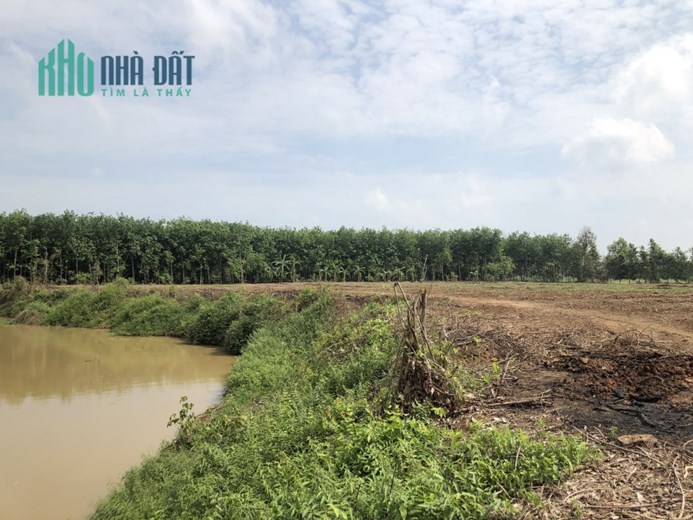Kẹt tiền cần bán mảnh vườn siêu đẹp tại Châu Thành – Tây Ninh