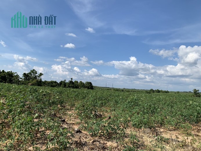 Hơn 4 sào đất gần cao tốc – KCN giá chỉ 2xxTR/sào