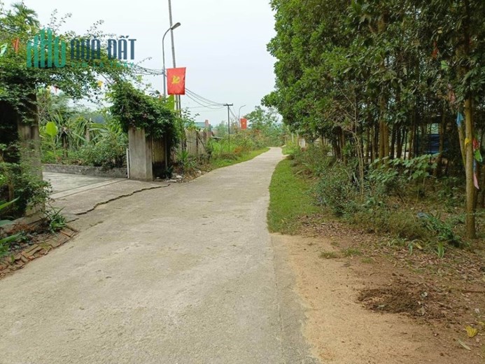 Bán khu đất trục chính QL2C. Cách điện lạnh Tâm An 1km. 2km ra sông Phó Đáy. giá bán 15 tr/m2