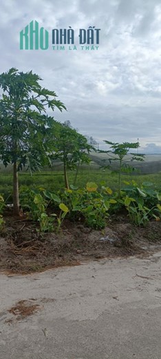Bán 573m2 đất Phú Chánh, TP. Tân Uyên giá ngộp