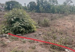Đất thổ cư Trục chính Tara, 1 lô sổ sẵn giá rẻ hơn xung quanh nhiều
