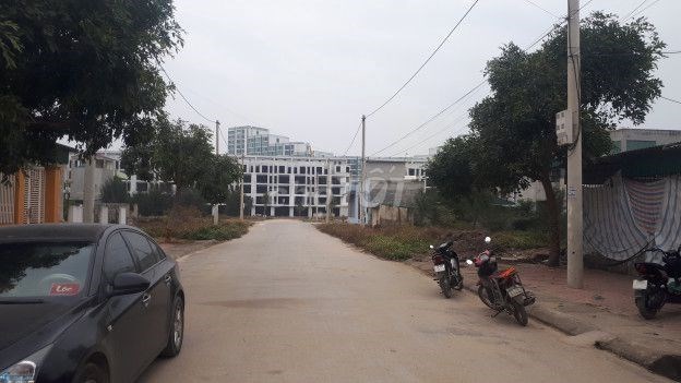 Bán đất phố Cường Thịnh, Quảng Cư, Sầm Sơn, Thanh Hóa