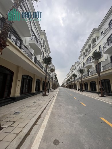 Tôi cần gấp mua liền kề diện tích từ 58m2, 60m2, 64m2, 65m2 tại vin ocean park 2