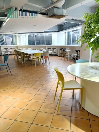 Cho thuê tòa nhà lớn tiện làm Trung tâm thương mại, showroom - 12$/ m2