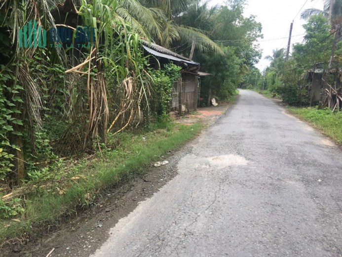 4công mặt tiền huyện lộ 36,Bình Trưng,Châu Thành,Tiền Giang