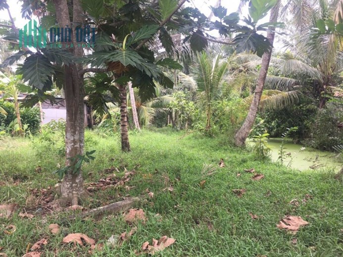 4công mặt tiền huyện lộ 36,Bình Trưng,Châu Thành,Tiền Giang