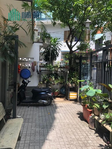 Gấp bán Nguyễn Du,Gò Vấp 50m2 chỉ 4.2ty TL