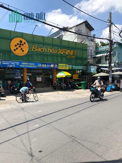 Gấp bán Nguyễn Du,Gò Vấp 50m2 chỉ 4.2ty TL