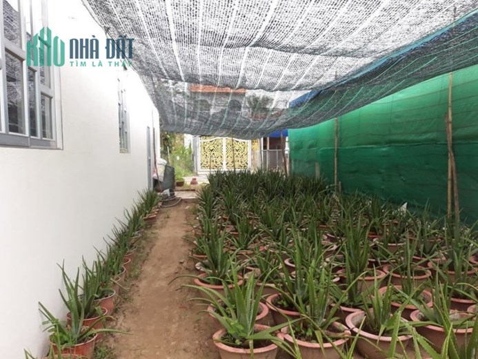 CHÍNH CHỦ bán nhà và đất vị trí đẹp tại xã Vĩnh Hòa, huyện Chợ Lách, Bến Tre