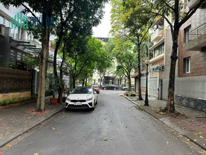 Bán nhà phân lô liền kề KĐT Mỹ Đình 1 - Nguyễn Cơ Thạch - Lưu Hữu Phước
Diện tích 100m2, mt 8m, nhà