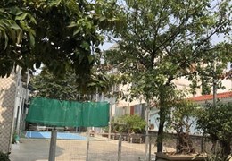 Chủ Kẹt Tiền Bán Gấp Lô Đất Bình Lợi P.13 Q.Bình Thạnh 5X17m2 Chỉ 9 Tỉ TL