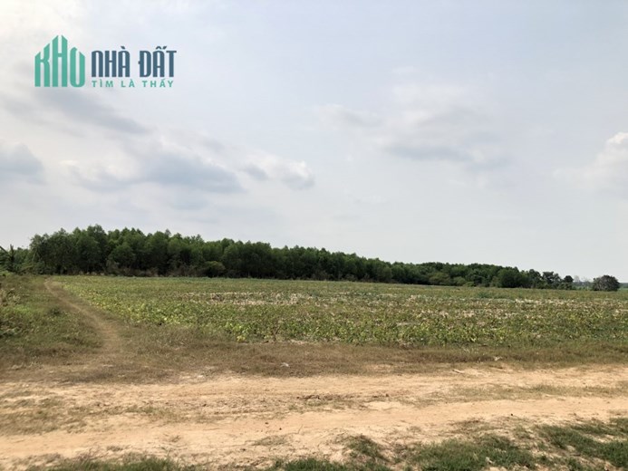 BA MẸ TUỔI ĐÃ CAO CẦN NGƯỜI CHĂM LO BÁN ĐẤT VỀ QUÊ.