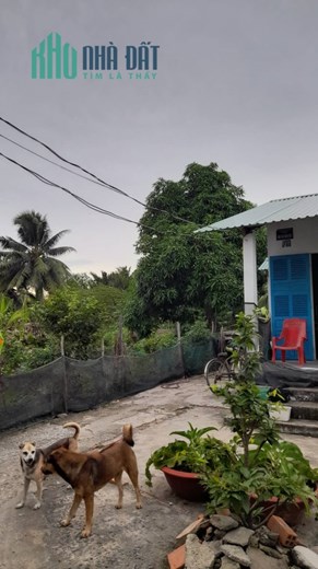 Đất nền đường Tân Long Tân Bửu 6x33