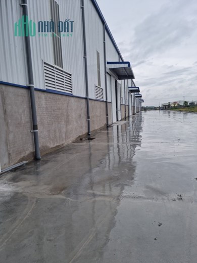 CHO THUÊ KHO, XƯỞNG TẠI VĂN LÂM. HƯNG YÊN giá tốt