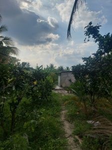 Chính Chủ Cần Bán Lô Đất Vị Trí Đẹp Tại Tiền Giang.