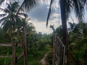 Chính Chủ Cần Bán Lô Đất Vị Trí Đẹp Tại Tiền Giang.