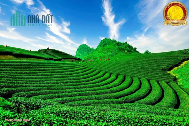 mảnh đất 5ha có 2800m thổ cư tại Chiềng Sơn MỘC CHÂU