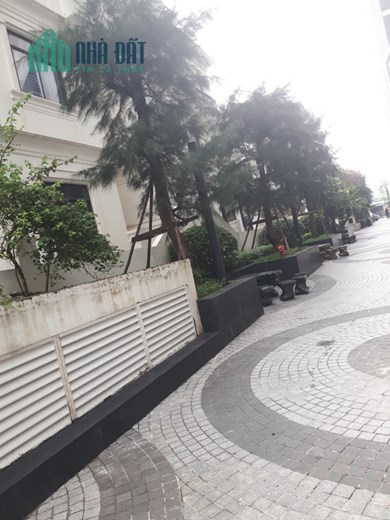 Biệt thự đơn lập cực đẹp gần công viên 18ha quận Cầu Giấy