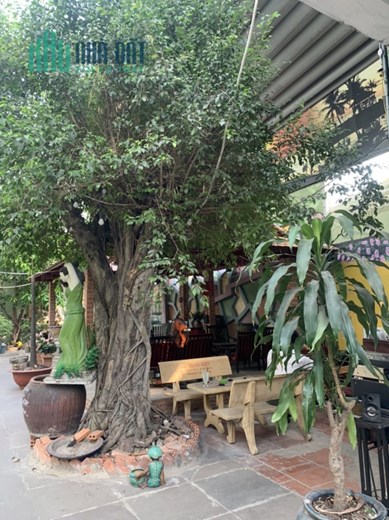 SANG QUÁN QUÁN CAFE MẶT TIỀN – số 40, Đường 26 Tháng 3, Phường Bình Hưng Hòa, Quận Bình Tân