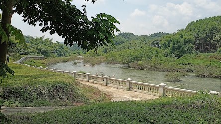 Tôi cần bán miếng đất đường chính QL2C Sơn Dương Tuyên Quang, cạnh dự án Flamingo,1km ra cầu Thác