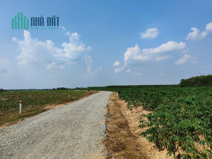 Cân ra nhanh Lô Đất Siêu NGỘP ở Châu Thành – Tây Ninh