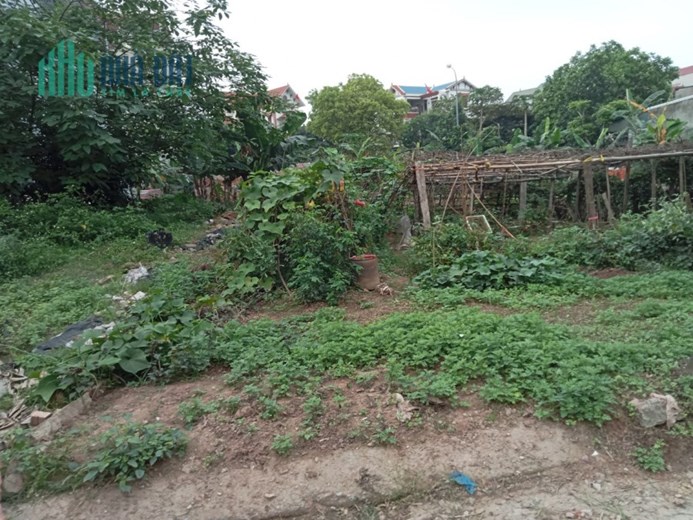 70 m2 đấu giá Hà Đông, giá có 2.75 tỷ, LH 0977790353