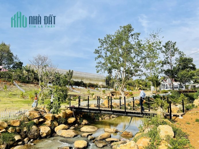 Nghỉ dưỡng ven suối cạnh trung tâm Bảo Lộc
