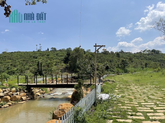 Nghỉ dưỡng ven suối cạnh trung tâm Bảo Lộc