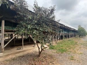 Chính Chủ Cần bán Lô đất vị trí đẹp tại : Tỉnh Đồng Nai
