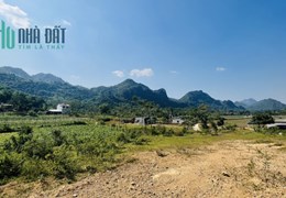 Chính chủ cần bán lô góc 2 mặt tiền 3370m 400m ont ô tô vào tận đất tại Đú Sáng - Kim Bôi - Hòa Bình