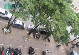 Cho thuê nhà vỉa hè rộng, ô tô đỗ kinh doanh sầm uất mặt phố Mễ Trì, Nam Từ Liêm 55m, 4t 48 triệu.