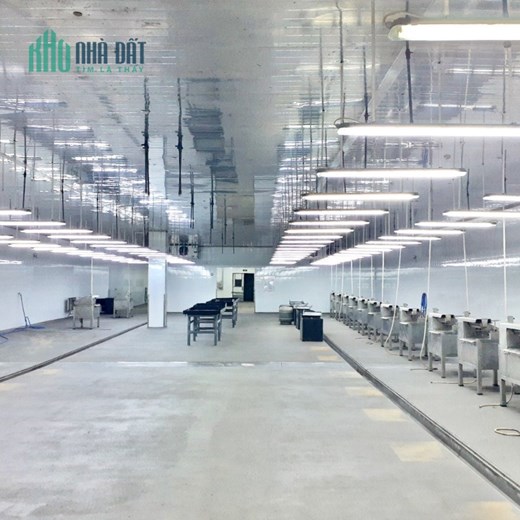 Bán 10.000m2 nhà xưởng ở KCN Long Giang,Tân Lập, Tiền Giang