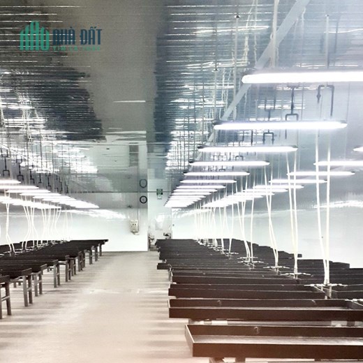 Bán 10.000m2 nhà xưởng ở KCN Long Giang,Tân Lập, Tiền Giang