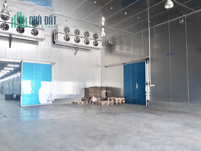 Bán 10.000m2 nhà xưởng ở KCN Long Giang,Tân Lập, Tiền Giang