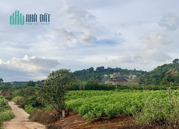 360m2 đất ngang 10m. 100mtc nằm trong khu vực phát triển homestay. Cách Đà Lạt 25km