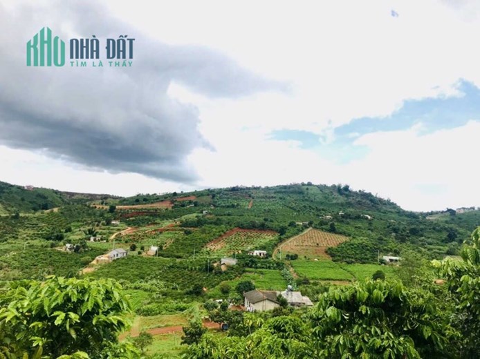 360m2 đất ngang 10m. 100mtc nằm trong khu vực phát triển homestay. Cách Đà Lạt 25km