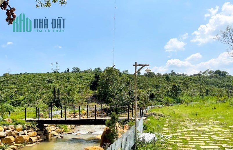 🔥🔥🔥 Yukata Glamping Lộc An, view suối, chỉ 900 triệu 🔥🔥🔥