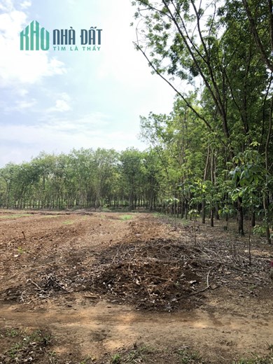 Tài chính THẤP vẫn mua được ĐẤT chỉ từ 418 nghìn/m2
